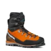 Mont Blanc Pro GTX pour homme